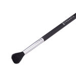 Buy Proarte PF-12 Focused Blush Brush Black - Purplle