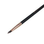 Buy Proarte AL-36 Pro Lips Precision Brush - Purplle