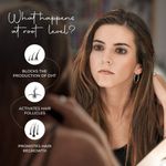 Buy Mojocare DHT Blocker Shampoo - 200ml | Hairfall Control Shampoo for Men | With Onion Oil for Hair Growth - Purplle