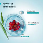 Buy Pilgrim Red Vine Face Mist & Toner With Niacinamide & Aloe (100 ml) - Purplle
