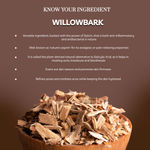 Buy Purplle Willowbark Oil Free Moisturiser - Smooth Vista for Acne-Prone Skin (45gm) - Purplle