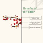 Buy Good Vibes Rosehip Hydrating Face Gel | Moisturizing, Rejuvenating | With Argan Oil | No Parabens, No Sulphates, No Mineral Oil (100 g) - Purplle
