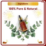 Buy Newish® Eucalyptus Oil for Cold & Cough for Steam Inhalation - 30 ml | 100% Pure & Natural Eucalyptus Essential Oil for Steam, Hair, Pain Relief & Diffuser | Undiluted, Natural Aromatherapy, Therapeutic Grade 30ml - Pack of 2 - Purplle
