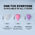 Buy Pee Safe Reusable Menstrual Cup with Medical Grade Silicone for Women - Small - Purplle