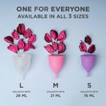 Buy Pee Safe Reusable Menstrual Cup (Large) - No leakage,Rash-Free & Upto 12 Hours protection - Purplle