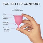 Buy Pee Safe Reusable Menstrual Cup (Large) - No leakage,Rash-Free & Upto 12 Hours protection - Purplle