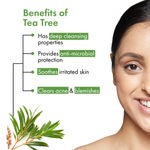 Buy Good Vibes Tea Tree Gentle Cleansing Face Wash in Tube | Oil Control, Anti Acne Face Wash For For Oily Skin | Encriched With Argan Oil | No Parabens, No Mineral, Oil No Animal Testing (120 ml) - Purplle