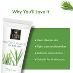 Buy Good Vibes Tea Tree Gentle Cleansing Face Wash in Tube | Oil Control, Anti Acne Face Wash For For Oily Skin | Encriched With Argan Oil | No Parabens, No Mineral, Oil No Animal Testing (120 ml) - Purplle
