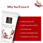 Buy Good Vibes Rosehip Deep Cleansing Face Wash in Tube (120 ml) - Purplle