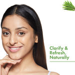 Buy Good Vibes Tea Tree Softening Face Scrub in Tube | Anti-Acne, Oil Free Skin | No Parabens, No Sulphates, No Mineral Oil, No Animal Testing (50 g) - Purplle