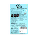 Buy BBLUNT Salon Secret High Shine Creme Hair Colour Deep Burgundy 4.20 (100 g) With Shine Tonic (8 ml) - Purplle