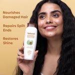 Buy Naturali Damage Repair Conditioner with Moringa Oil & Avocado | Nourishes & Revitalizes | Hair Conditioner for Dry Frizzy Hair,180 ml - Purplle