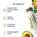 Buy Naturali Damage Repair Shampoo | With Moringa Oil & Avocado| Repairs Damage & Restores Shine | 340 Ml - Purplle