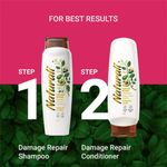 Buy Naturali Damage Repair Shampoo | With Moringa Oil & Avocado| Repairs Damage & Restores Shine | 340 Ml - Purplle