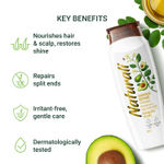 Buy Naturali Damage Repair Shampoo | With Moringa Oil & Avocado| Repairs Damage & Restores Shine | 80 Ml - Purplle