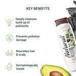 Buy Naturali Pollution Defence Shampoo | With Charcoal & Avocado | Detoxifies And Nourishes Hair | 340 Ml - Purplle