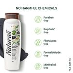 Buy Naturali Pollution Defence Shampoo | With Charcoal & Avocado | Detoxifies And Nourishes Hair | 340 Ml - Purplle