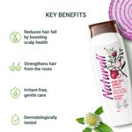 Buy Naturali Hairfall Arrest Shampoo | With Red Onion & Bhringraj | Reduces Hair Fall By Boosting Scalp Health | 80 Ml - Purplle