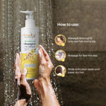 Buy Aryanveda Dryness Care Shampoo with Conditioner, Brazil Nut, Arnica and Harad for All Hair Types, 200ml - Purplle