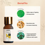 Buy Vedix Customized Ayurvedic Face Oil | Vita Face Oil for Ageing Skin | With Moringa + Shallaki + Sahachar | For Skin Tightening | For Pore Tightening |(10 ml) - Purplle