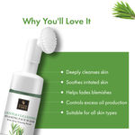 Buy Good Vibes Tea Tree Foaming Gentle Cleansing Face Wash With Deep Cleansing Brush | Anti-Acne, Oil Control For Acne-Prone Skin & Oily Skin | No Parabens, No Sulphates, No Mineral Oil, No Animal Testing (150 ml) - Purplle