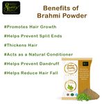 Buy Online Quality Store brahmi leaf powder |brahmi powder for hair growth |Organic Brahmi Powder |bacopa monnieri powder |Natural Bhahmi leaf powder(50 gm, Pack of 1) - Purplle