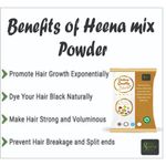 Buy Online Quality Store Henna Mix Powder With Shikakai, Methi,Amla,Bringraj,hibiscus,Neem and Heena for Hair Wash|Mehndi Mix powder|Herbal hair care powder,50 gm - Purplle