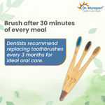 Buy DR. MOREPEN Organic Bamboo Toothbrush For Adults - Blue, Brown & Charcoal 3 Pcs - Purplle