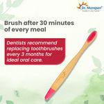 Buy DR. MOREPEN Organic Bamboo Toothbrush For Adults - Pink 1 Pc - Purplle