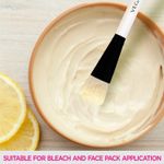Buy Vega Face Pack Brush - HV-27 - Purplle