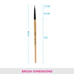 Buy VEGA Eye Liner Brush (EV-08) - Purplle