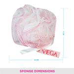 Buy Vega Everyday Sponge (BA 3/8) - Purplle