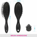 Buy VEGA Cushioned Brush (R3- CB ) - Purplle