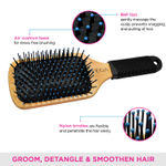 Buy VEGA Paddle Brush (E1-PB) - Purplle