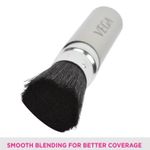 Buy VEGA Blush Rectractable Brush (EV-19(RT)) - Purplle