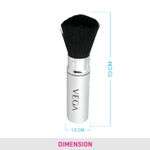 Buy VEGA Blush Rectractable Brush (EV-19(RT)) - Purplle