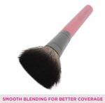 Buy VEGA Blush Brush (MBP-02) - Purplle