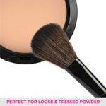 Buy VEGA Blush Brush (MBP-02) - Purplle