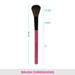 Buy VEGA Blush Brush (MBP-02) - Purplle