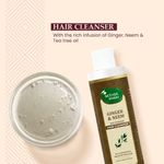 Buy Mother Sparsh Ginger & Neem Anti-Dandruff Hair Cleanser - Purplle