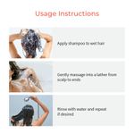Buy Vedix Customized Ayurvedic Dandruff Care Vardara Deep Conditioning Shampoo for Women for Dry Hair - Purplle