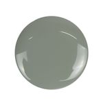 Buy DeBelle Gel Nail Lacquer Glossy Slate Stone - Slate Grey (8 ml) - Purplle