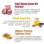 Buy WOW Skin Science Red Onion Black Seed Oil Hair Conditioner (300 ml) BOGO - Purplle