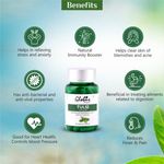 Buy Globus Naturals Tulsi Immunity Booster Capsules Enriched with Antioxidants, Rich in Vitamin C and Zinc 60 Vegetarian Capsules - Purplle