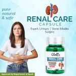 Buy Globus Naturals Renal Care Ayurvedic Capsules for kidney Stone, Urinary tract 60 Vegetarian Capsules - Purplle