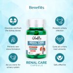 Buy Globus Naturals Renal Care Ayurvedic Capsules for kidney Stone, Urinary tract 60 Vegetarian Capsules - Purplle