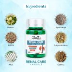 Buy Globus Naturals Renal Care Ayurvedic Capsules for kidney Stone, Urinary tract 60 Vegetarian Capsules - Purplle