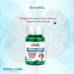 Buy Globus Naturals Renal Care Ayurvedic Capsules for kidney Stone, Urinary tract 60 Vegetarian Capsules - Purplle
