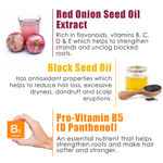 Buy WOW Skin Science Red Onion Black Seed Oil Shampoo & Conditioner Kit BOGO ,600 ml - Purplle
