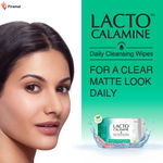 Buy Lacto Calamine Daily Cleansing Wipes (25 wipes) - Purplle
